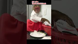 Download lagu So funny! Kobi's cute clumsiness mp3