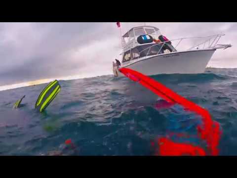 CCDC Christmas Dive with Narcosis 12 17 2017