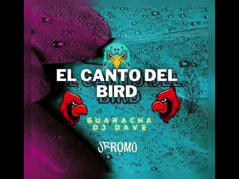 DJ Dave X Jr Romo - El  Canto del bird ( PRIVATE ) VERSION