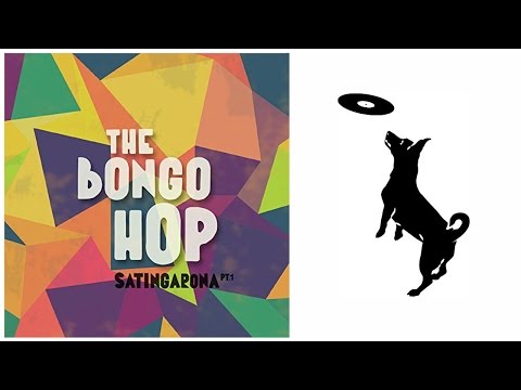 The Bongo Hop (ft. Nidia Gongora) - El Terron [Audio]