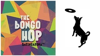 The Bongo Hop - El Terron feat Nidia Gongora [Official Audio]