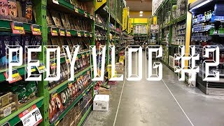 外国で方向音痴が頑張る。 -#Pedy VLOG #2- Video of person struggle who has poor sence of direction in Wellington.