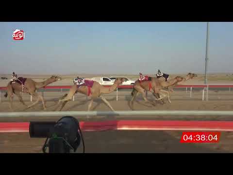  ش 7 (هملول) لـ محمد سهيل راعي العويا العامري 6:32:85 , شارة الديوان 1 2026/09/13 ايذاع الوقن