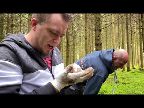 Wald der tausend Biere ? Ich war wieder unterwegs! und es war wundervoll