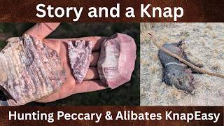 Javelina story while knapping Alibates KnapEasy, plus new hunt updates