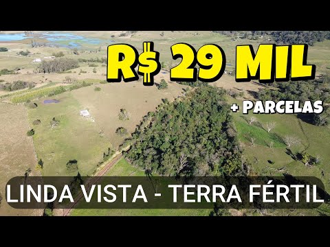 Vídeo