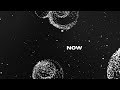 Yoko Ono - Now or Never (Lyric Video)