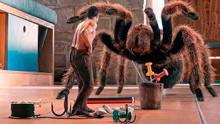 Homem encolheu da noite para o dia, fazendo com que os insetos começassem a caçá-lo.