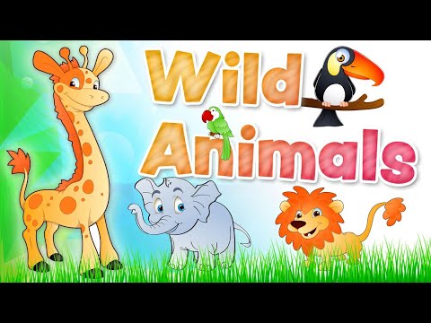 Learn wild animals for kids|wild animals learning with sounds|animation easy learning of wild animal