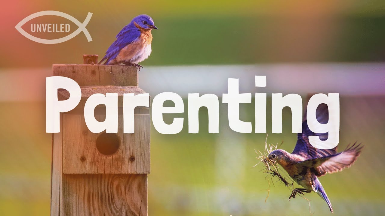 Unveiled: Parenting, featuring Amanda Collins