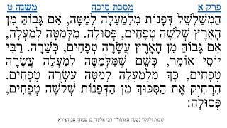 מסכת סוכה פרק א משנה ט