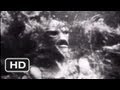 Creature From The Black Lagoon Official Trailer 1 1954 HD
