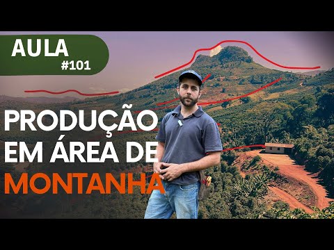 Visitei a serra do Caparaó e vi como os agricultores estão produzindo café agroflorestal na montanha