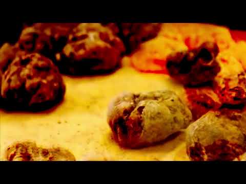 AMBITION 8 12 (white truffles) (lyric video)