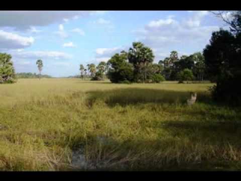 100-Chak teuk dong by Meas Samon..wmv