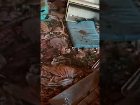 Abandoned electricity power farm