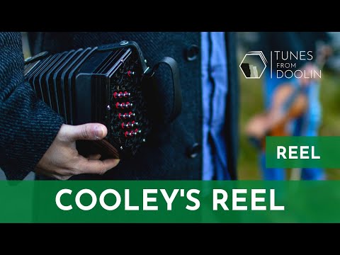 COOLEY'S REEL (Reel) | Irish Music Tunes on Concertina 🎵☘️