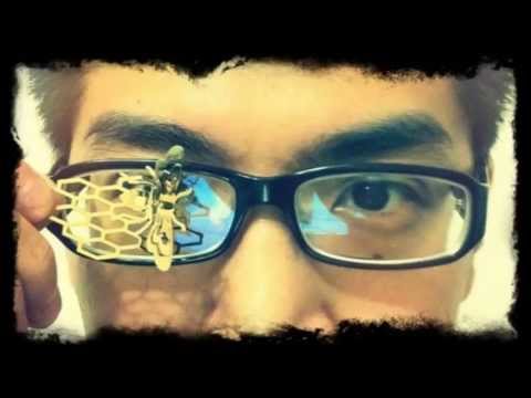 Taiwan Top.1 Street Fighter Player GamerBee