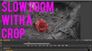 EDITING PROCESS & EFFECTS