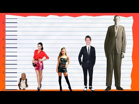 Shay Mitchell Height