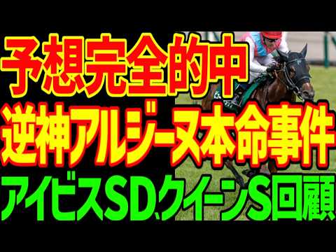 【芸術的逆神と予想完全的中！？】単勝ピューロマジックでバチコリ儲けた競馬ゆっくりが川田将雅とアルジーヌに上げ落としされる…2025年アイビスサマーダッシュ、クイーンS回顧動画【競馬ゆっくり】