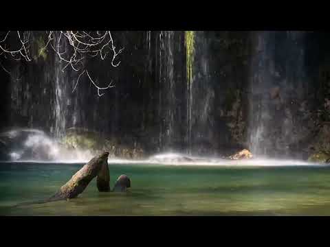 Nature's Tranquil Waters 🌊 Peaceful Sounds for Better Sleep 🌿 Find Your Inner Calm