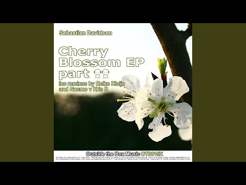 Ice Worlds (Eelke Kleijn Remix)