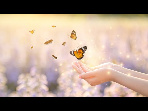 Never Be Alone - Basixx feat  Vincent Vega | Pop Music