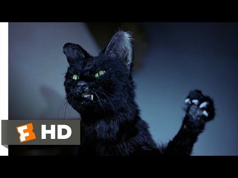 Scary Movie 2 (7/11) Movie CLIP - My Pussy's Gone Crazy! (2001) HD