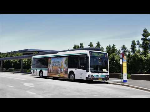 Forest Coachlines M/O 8319: Mercedes-Benz O405NH (ZF/Custom Coaches CB60)