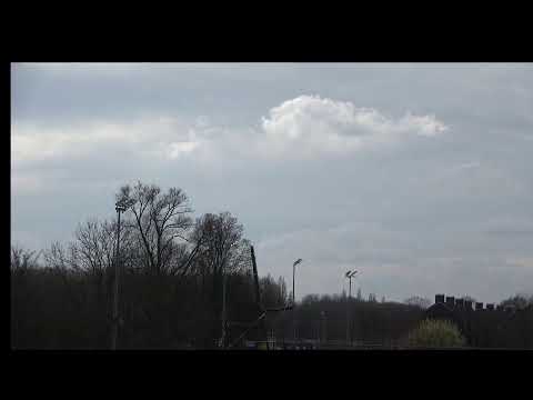 Roomburg B1 - ROOD WIT B1