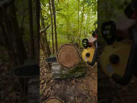 Миниатюра изображения товара Пила цепная аккумуляторная Huter ELS-40-4 Li (70/10/25)