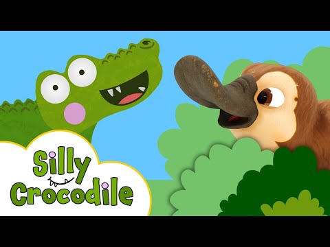 Baby Platypus Hide and Seek Game with Silly Crocodile ￼
