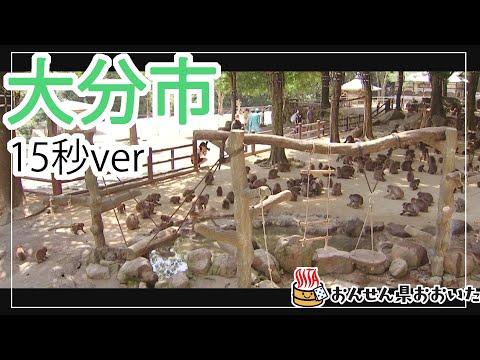【大分県】おんせん県おおいた観光動画　～大分市：ダイジェスト15秒～