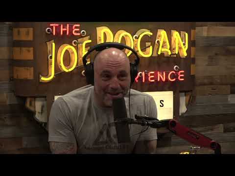 Joe Rogan Experience #1810 - Remi Warren