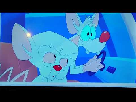 Pinky and Brain Enter the Robotics Lab / Pinky Gets 😬😳