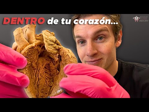 How does your heart pump 10,000 liters a day?