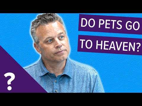 Do Pets go to Heaven? - YouTube