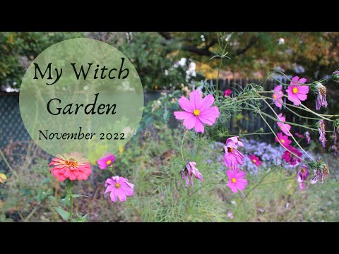 Witch's Garden Tour- November 2022