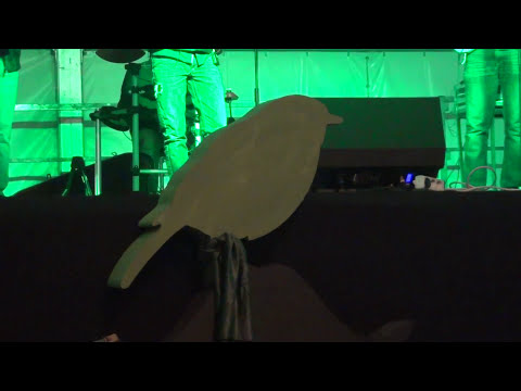 T.S.Nemoj nikom reći - Sin sam zlatnih žitnih polja.