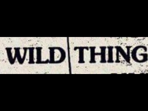 Wild Thing Live @ Satellite Bar 8/3/2016