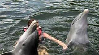 preview picture of video 'Zwemmen met spartelende dolfijnen'