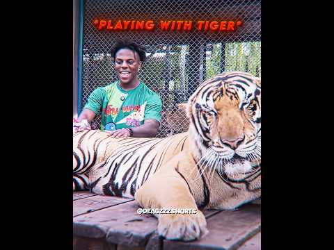 Bro ragebaited a tiger 💀🙏