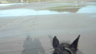 riding on whitesands beach Pembrokeshire