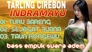 Download lagu TARLING CIREBON INDRAMAYU _ PALING ADEM SUARANYA mp3 Download lagu TARLING CIREBON INDRAMAYU _ PALING ADEM SUARANYA mp3