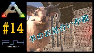 実況 ついに可愛すぎる羊テイム【Ark Survival Evolved】【Season1part14】【公式PVE】PS4