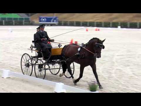 Valenzio v. Valerius - Ellrado - Egner