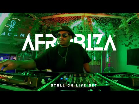 Stallion | Afro House Mix | Afrobiza Music Festival