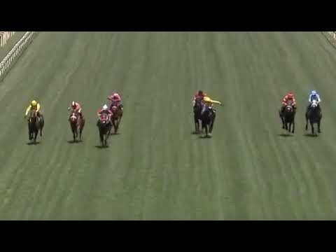 Head on race 4 Turffontein