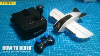 EGG PV - micro fpv plane homemade ???? - will it fly? ????????????